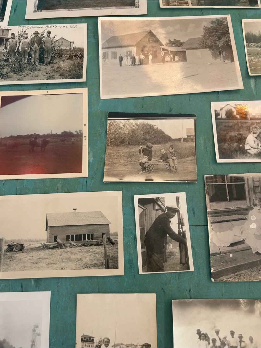 46 black white vintage farm photos animals farmers 1920’s - 1940’s ephemera - Picture 10 of 13